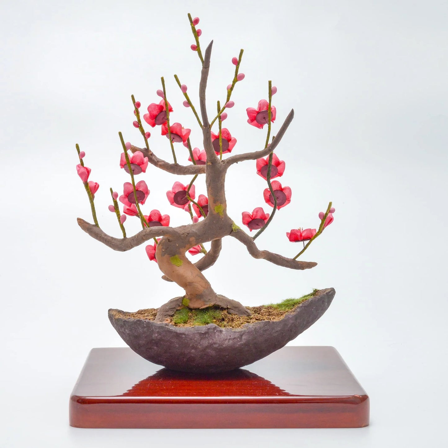 Red plum bonsai