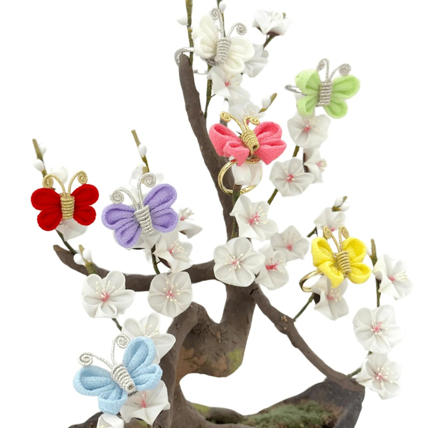 White plum blossoms (bonsai style)