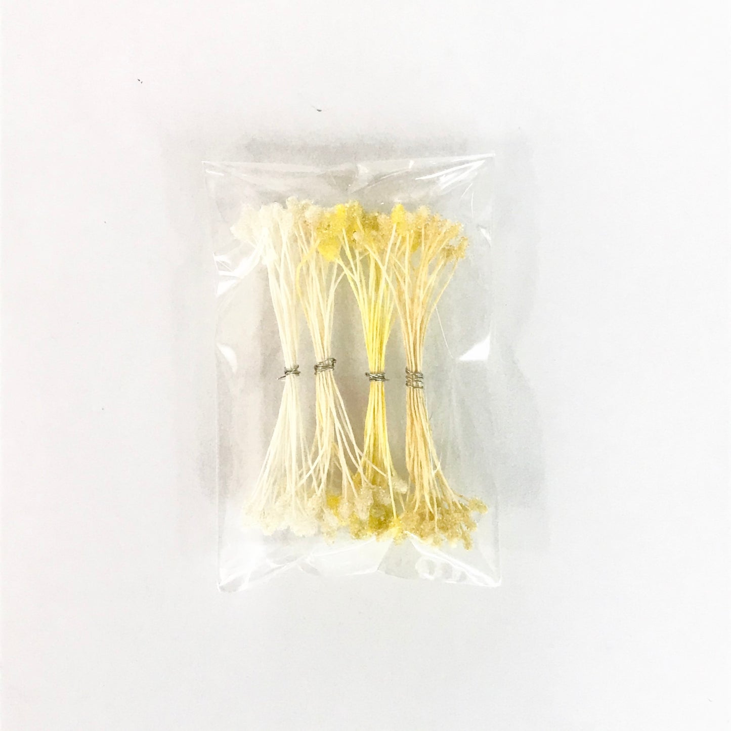 玻璃百吉饼组合