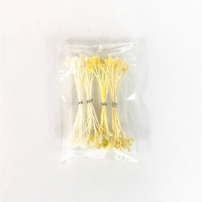 玻璃百吉饼组合