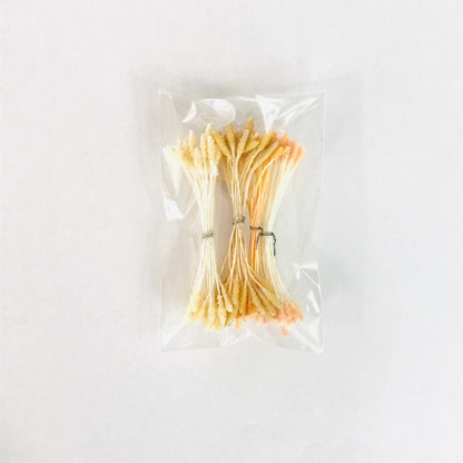 含羞草辣椒什锦