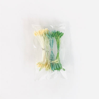 含羞草辣椒什锦