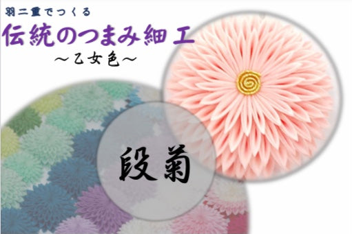 基本の「き」練習用動画付キット【段菊】