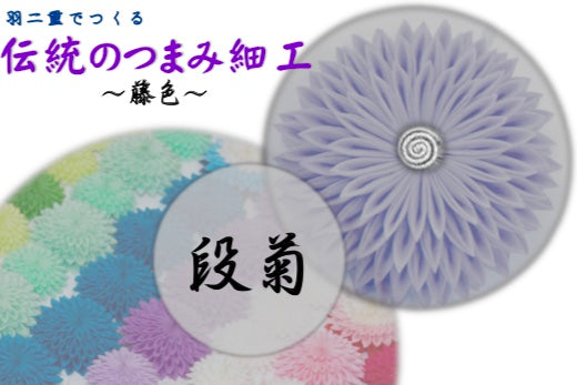 基本の「き」練習用動画付キット【段菊】