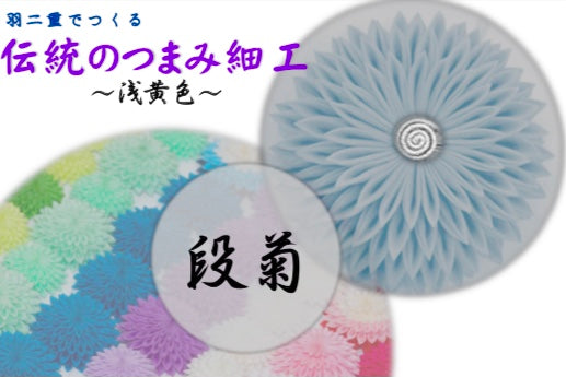 基本の「き」練習用動画付キット【段菊】