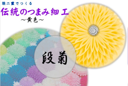 基本の「き」練習用動画付キット【段菊】