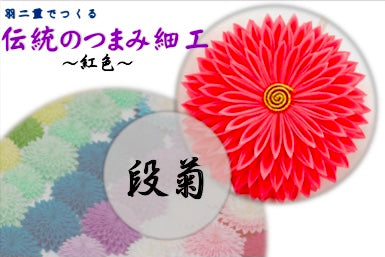 基本の「き」練習用動画付キット【段菊】