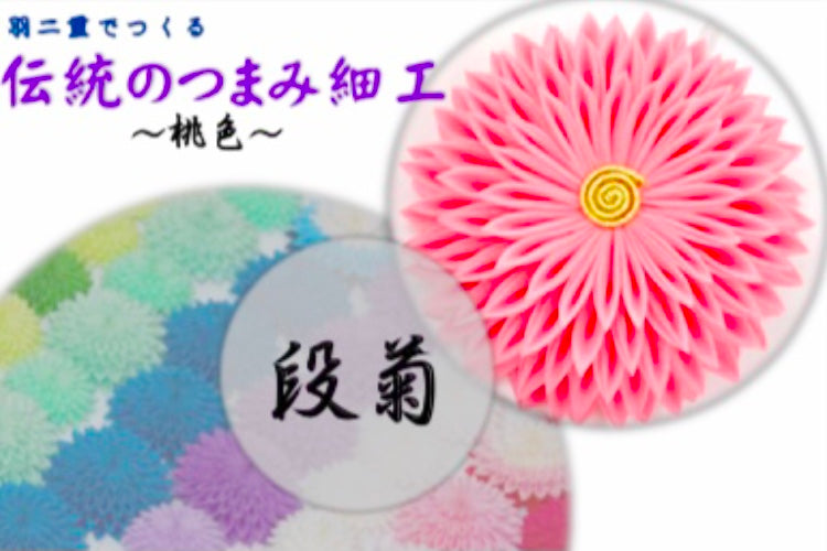 基本の「き」練習用動画付キット【段菊】