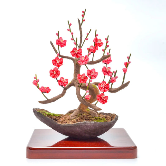紅梅盆栽仕立て