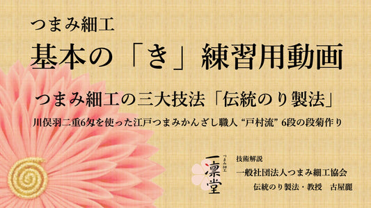 基本の「き」練習用動画付キット【段菊】