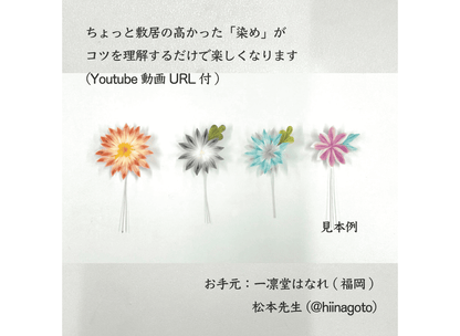 Habutae染色套装（含视频教程，4种墨水颜色）