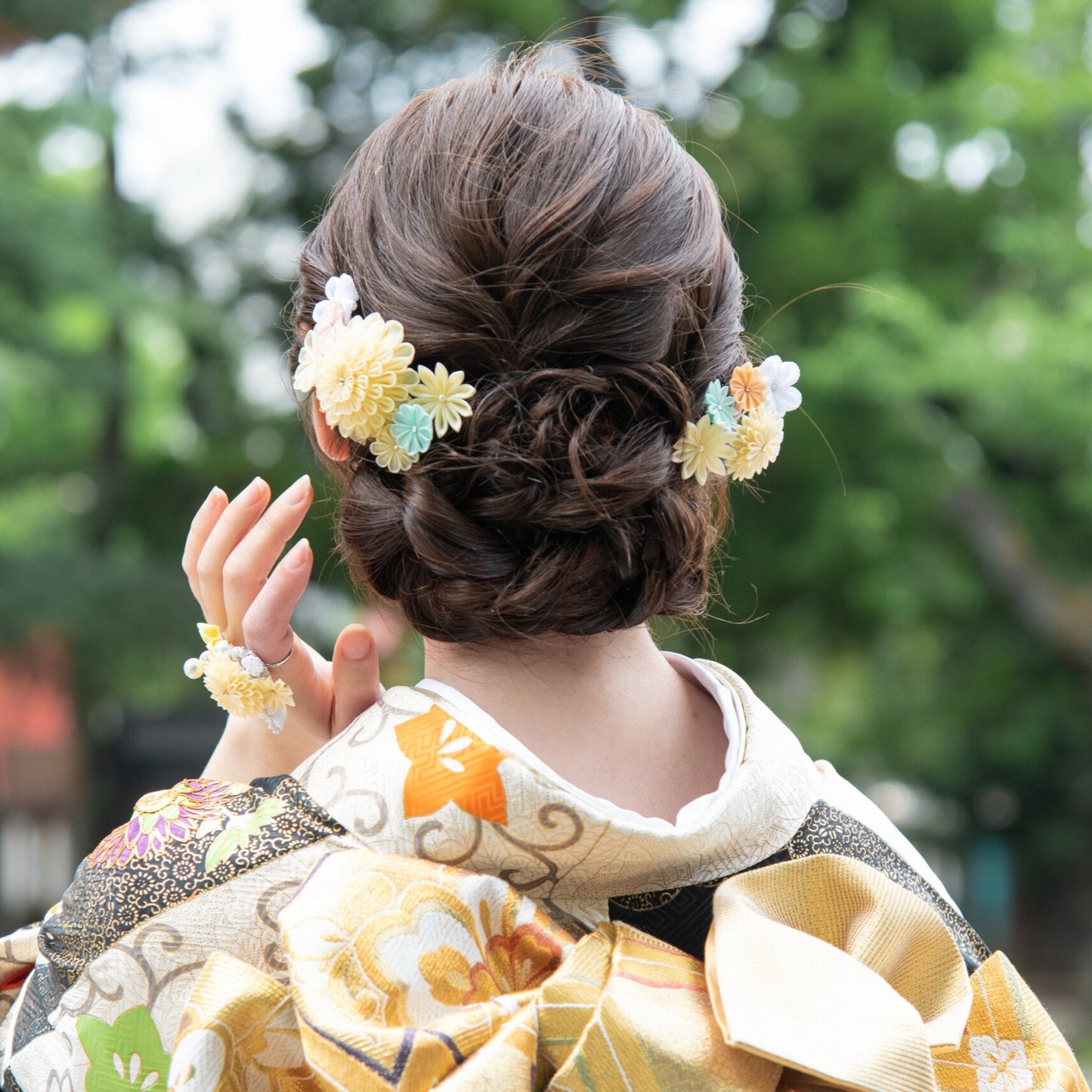 「はまちょう」丸つまみ段菊コーム2点セット