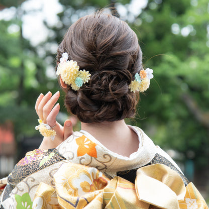 「はまちょう」丸つまみ段菊コーム2点セット