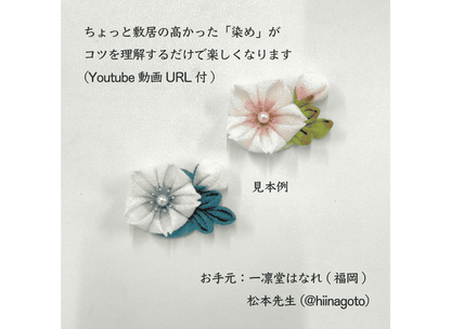 首次使用彩色墨水染色套装，附带视频教程（3 或 4 种颜色的墨水）和尼龙刷