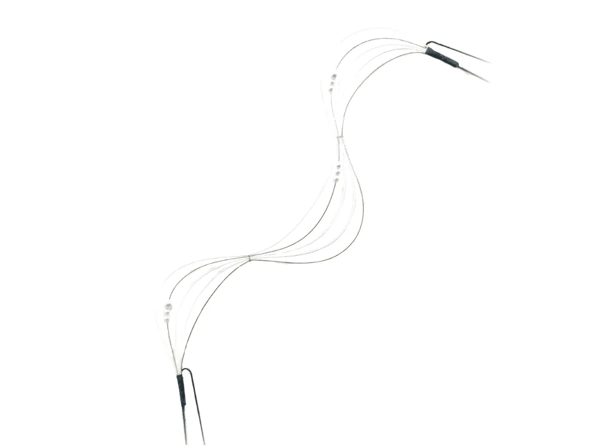 「かんだぼり」水引飾り(30cm)・白金