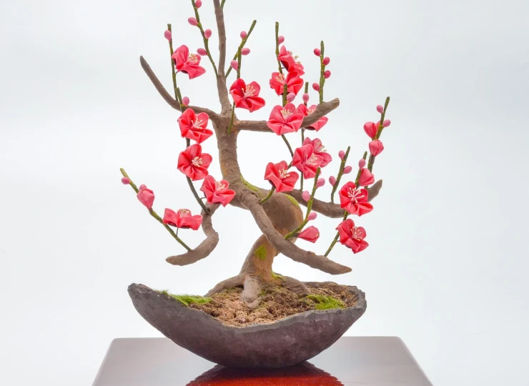 bonsai__red