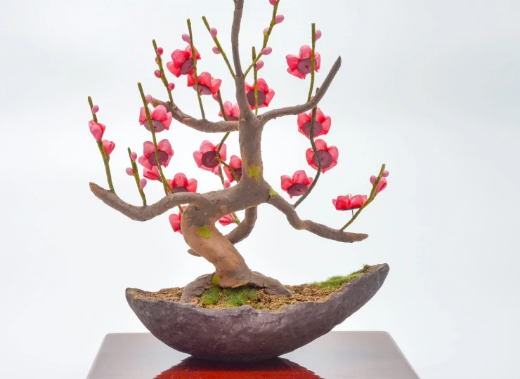 bonsai__red