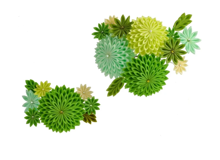 comb_kuramae_green