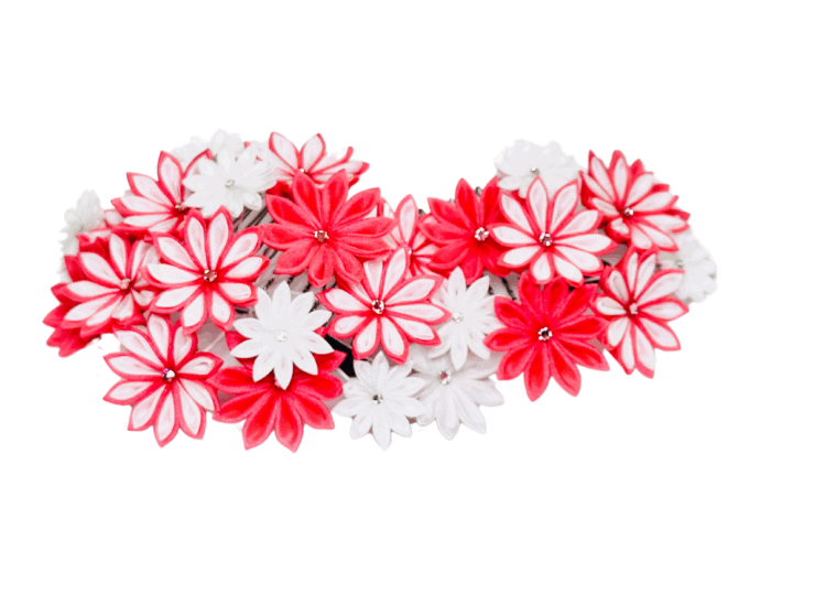 yanesen_ken_red