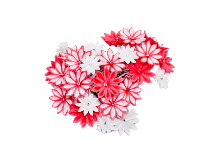 yanesen_ken_red